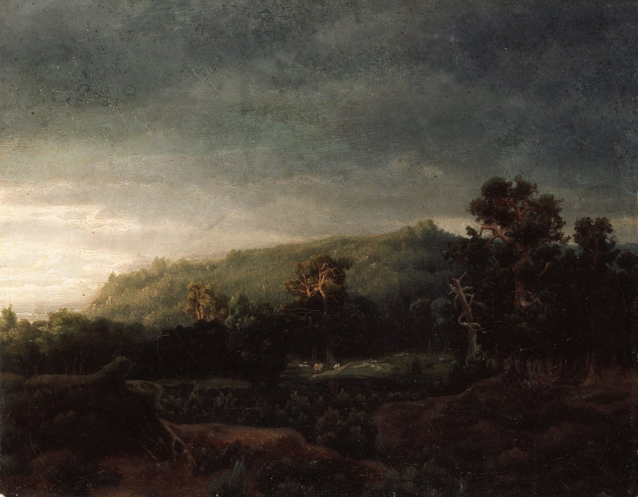 En skog av Lars Hertervig