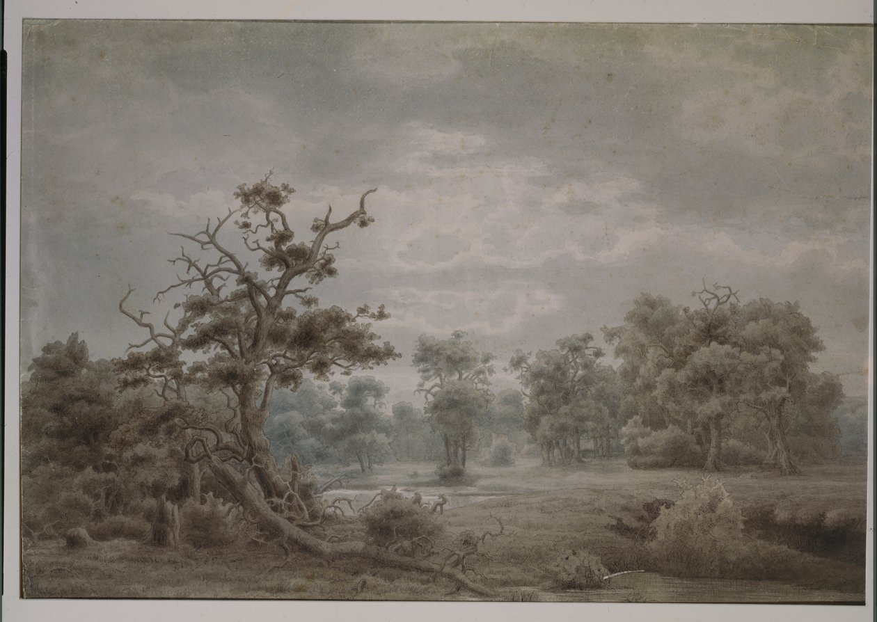 Skoglandskap fra Düsseldorf av Lars Hertervig