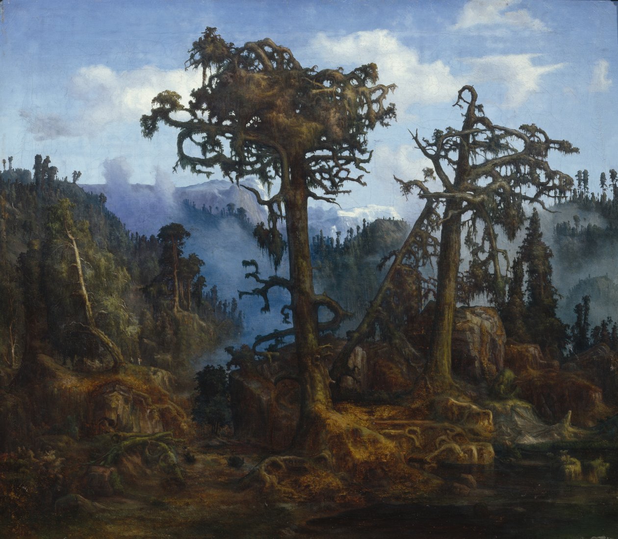 Gamle Pines av Lars Hertervig