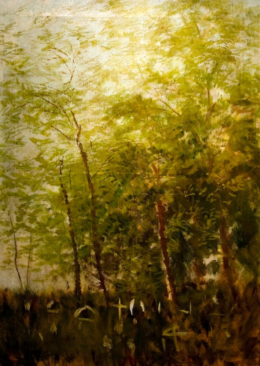 Erdoszele sirkeresztekkeln Engelsk: Fringe_of_Forest_with_Crossesn av Laszlo Mednyanszky