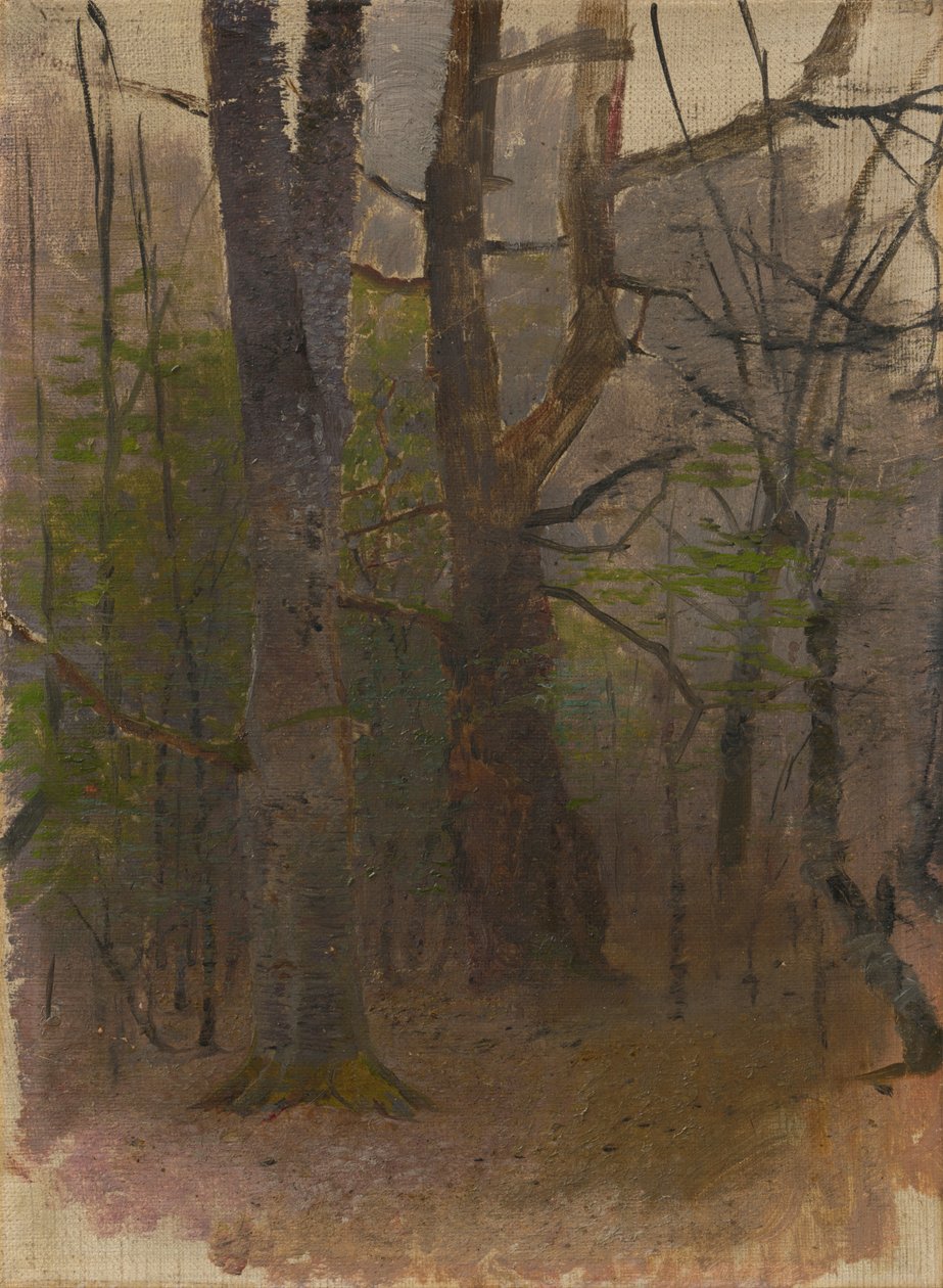 Tidlig vår. skog av Laszlo Mednyanszky