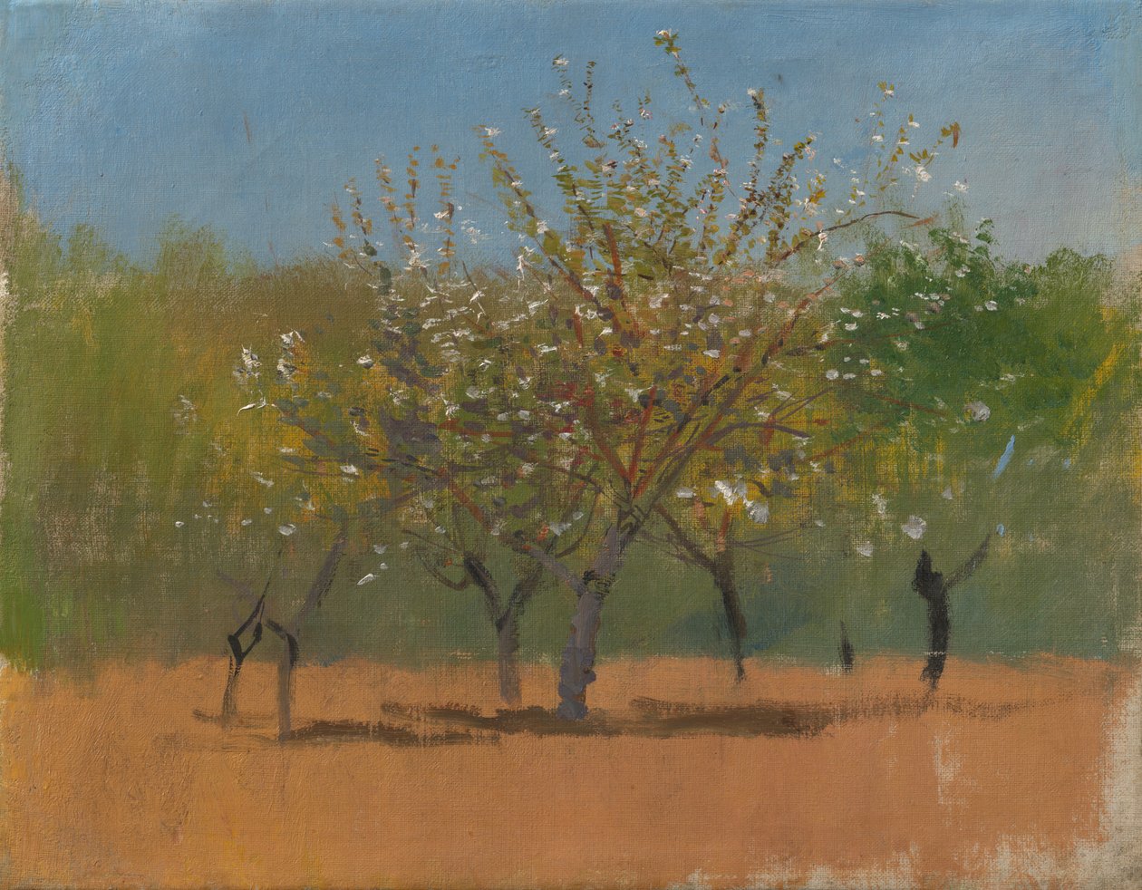 Trees in Blossom, ca. 1880-90 (olje på lerret) av Laszlo Mednyanszky