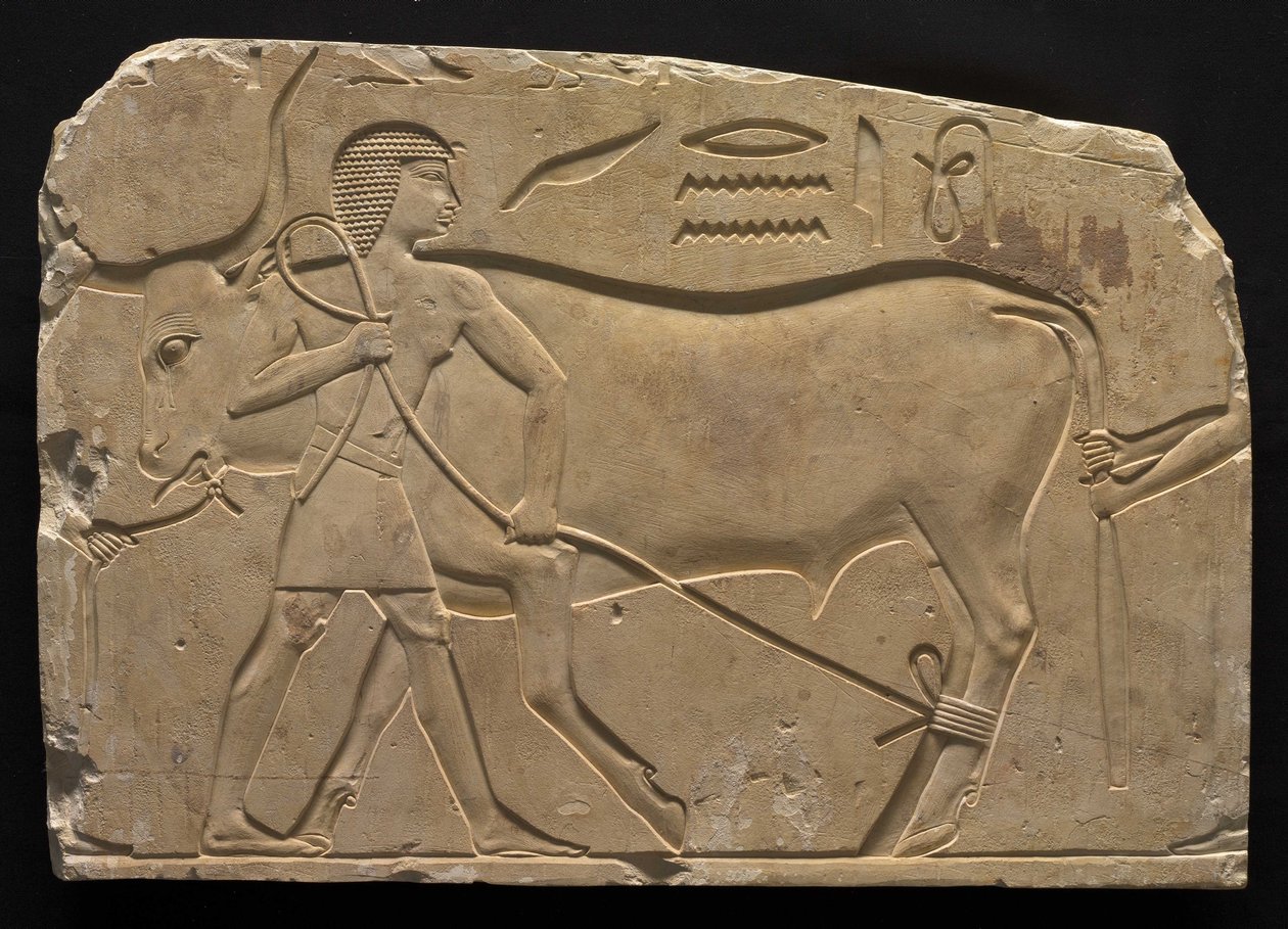 Menn som fester en okse, 667-647 f.Kr av Late Period Egyptian