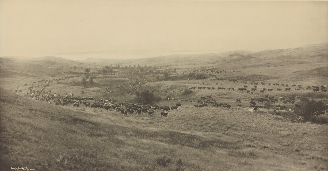  av Laton Alton Huffman