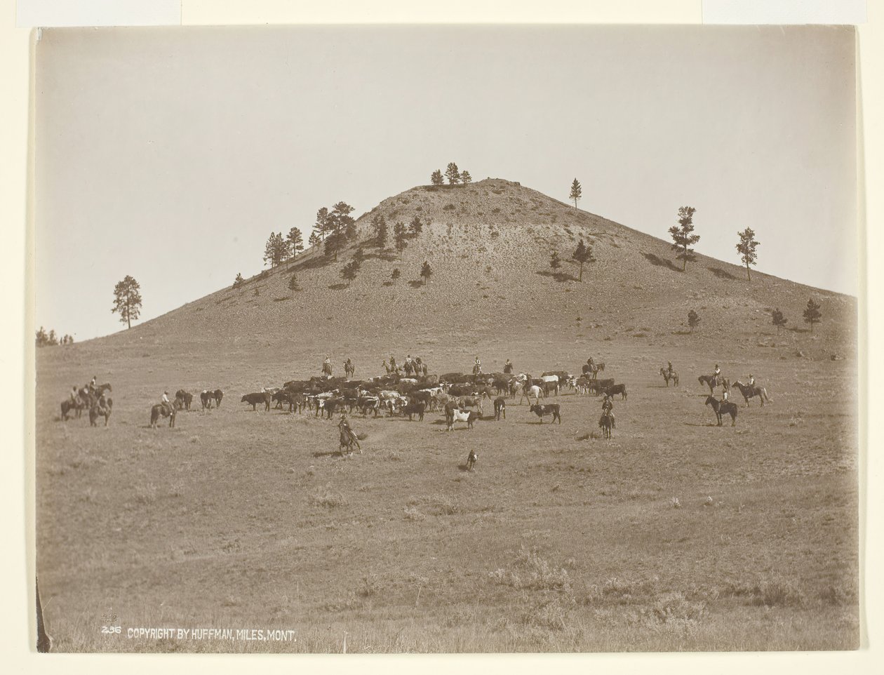 Arbeider en liten gjeng i åsene, ca. 1900. av Laton Alton Huffman