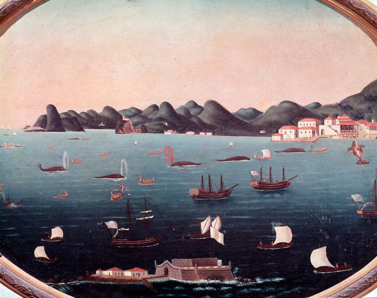 Hvalfangst i Guanabarabukta i Brasil Akvarell av Leandro Joaquim (1738-1798) Rio de Janeiro fra 1700-tallet, National Historic Museum av Leandro Joachim