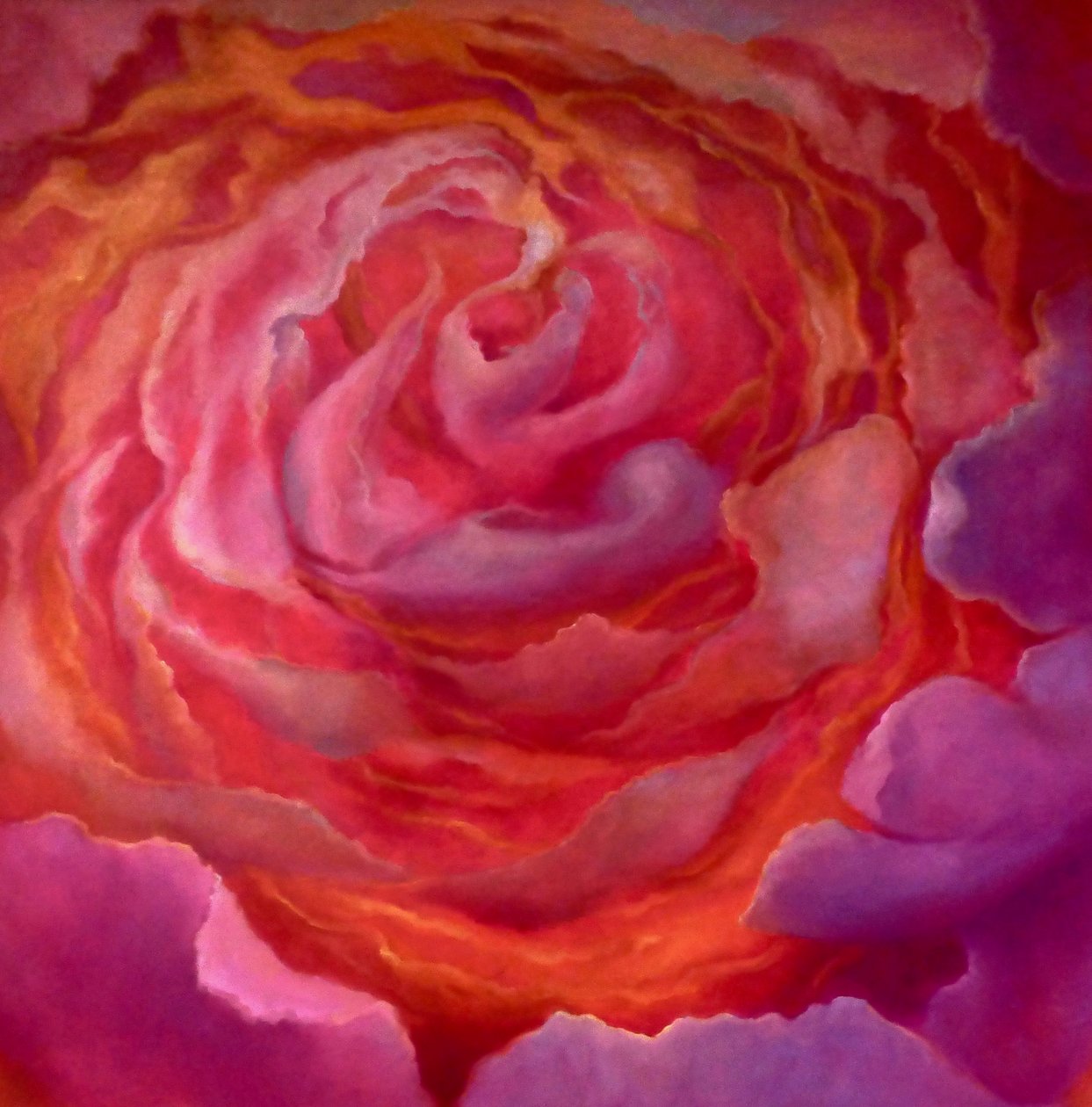Rose gull, 2022 av Lee Campbell