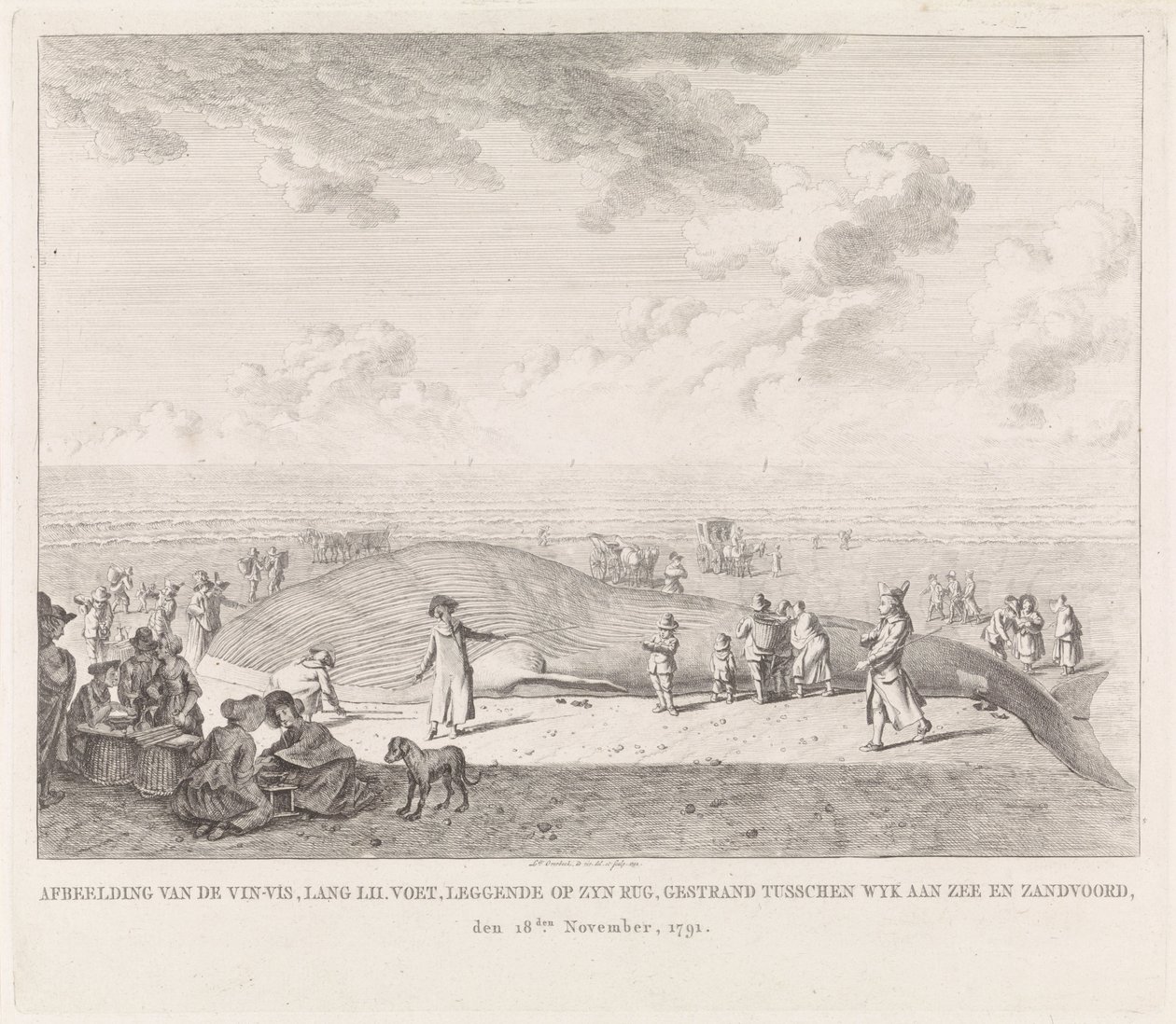 Finnhval skylt opp på stranden ved Zandvoort Bilde av Vin-Vis (...) strandet mellom Wyk aan Zee og Zandvoord, 18. november 1791 (tittel på objekt) av Leendert Overbeek