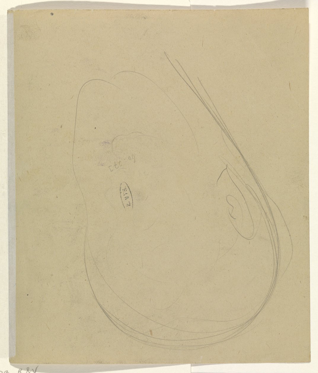 Konturer av et hode av Leo Gestel