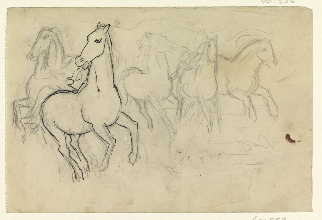 Galopperende hester av Leo Gestel
