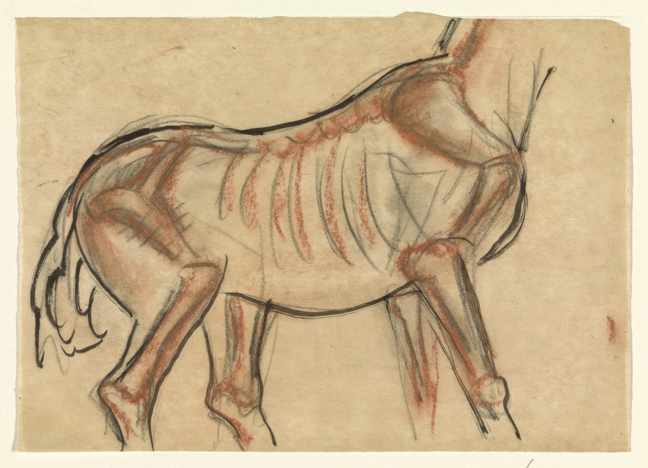 Skjelett av en hest av Leo Gestel