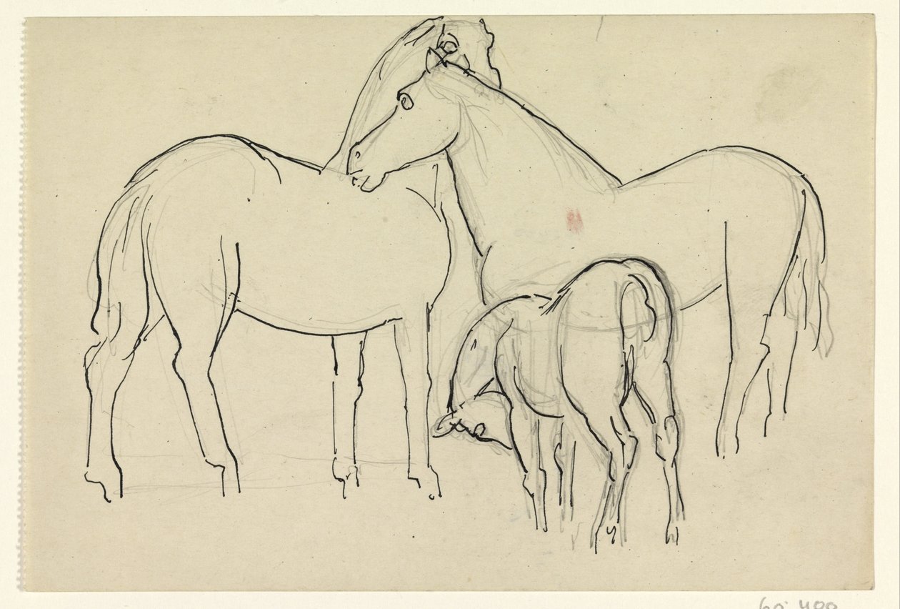To hester og et føll av Leo Gestel