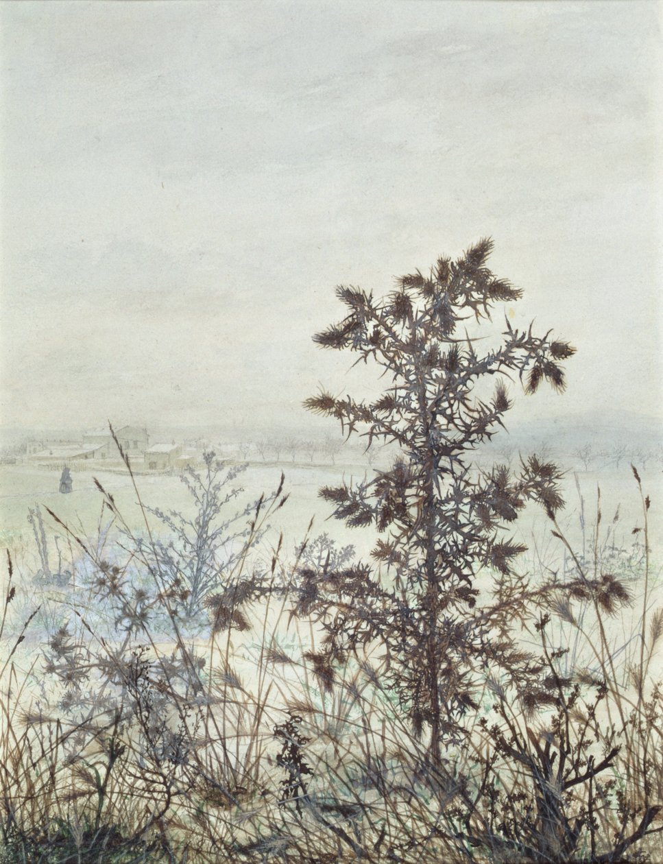 Thistles and Weeds, 1864 (wc, kroppsfarge, penn og blekk og blyant på papir) av Léon Bonvin