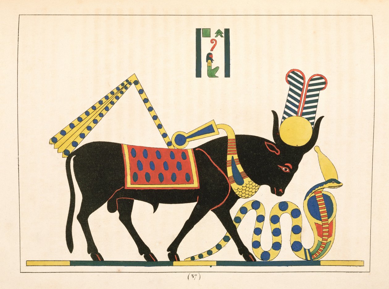 Apis-oksen, illustrasjon fra Egyptian Pantheon: samling av mytologiske karakterer fra det gamle Egypt av Jean-Francois Champollion, utgitt 1823-25 av Leon Jean Joseph Dubois