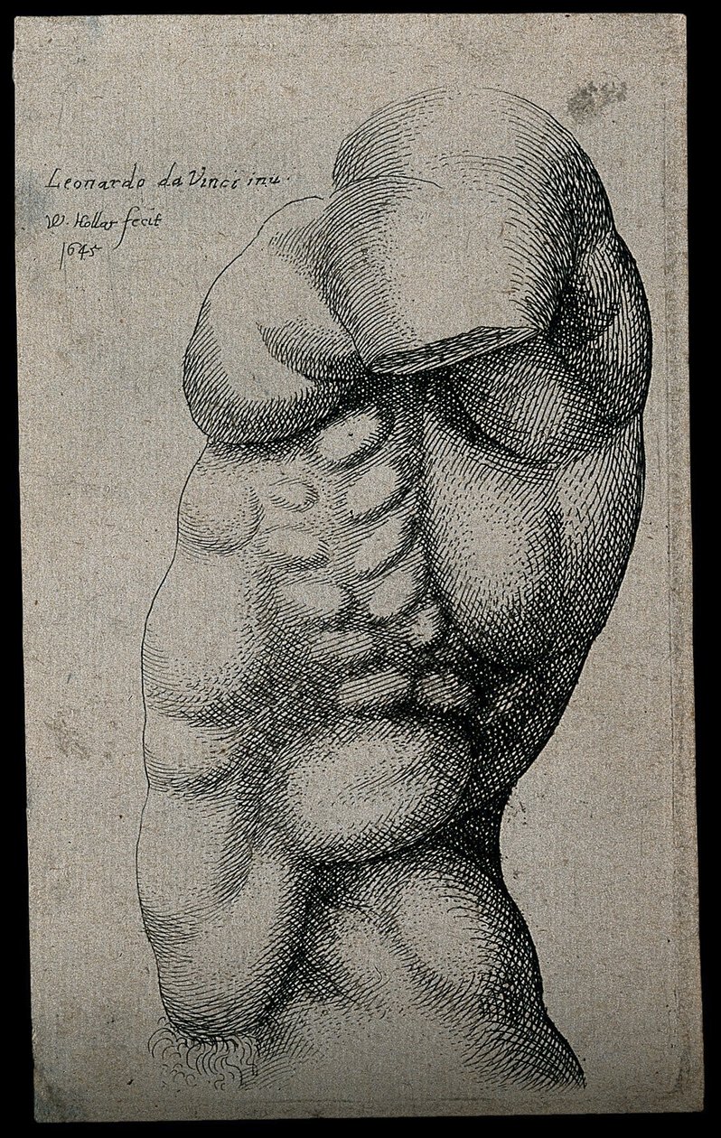 En mannlig torso uten arm av Leonardo da Vinci