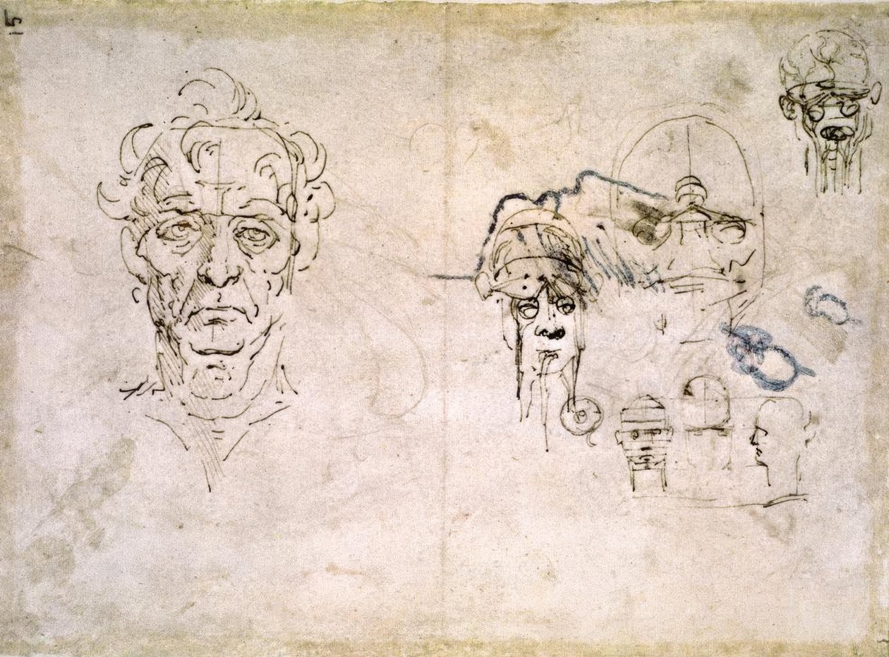 Anatomiestudien av Leonardo da Vinci