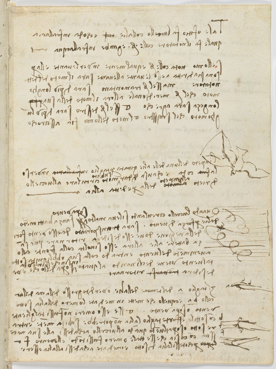 Fuglers flykode, c. 1505-06, papirmanuskript, cc. 18, ark 10 recto av Leonardo da Vinci