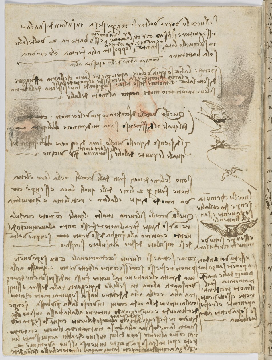 Fuglers flykode, c. 1505-06, papirmanuskript, cc. 18, ark 10 verso av Leonardo da Vinci