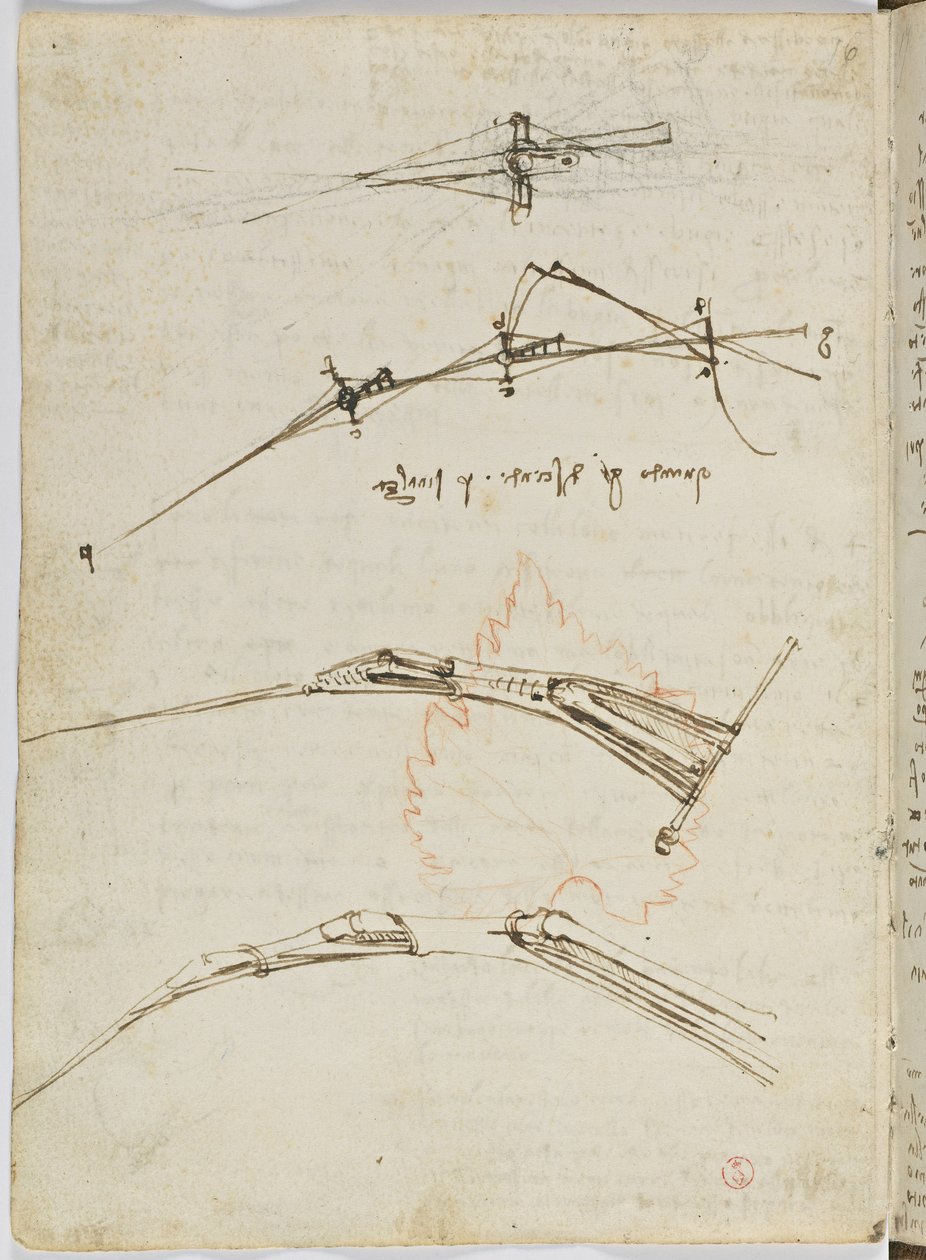 Fuglers flykode, c. 1505-06, papirmanuskript, cc. 18, ark 11 verso av Leonardo da Vinci