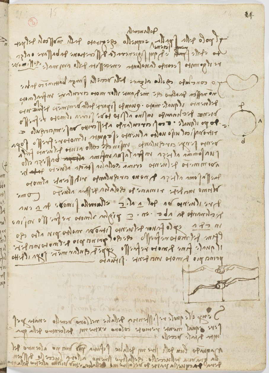 Fuglers flykode, c. 1505-06, papirmanuskript, cc. 18, ark 14 recto av Leonardo da Vinci
