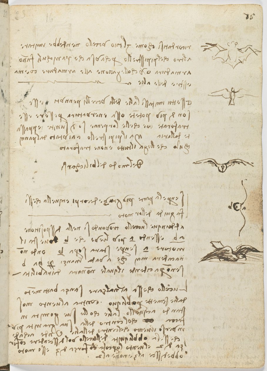 Fuglers flykode, c. 1505-06, papirmanuskript, cc. 18, ark 15 recto av Leonardo da Vinci