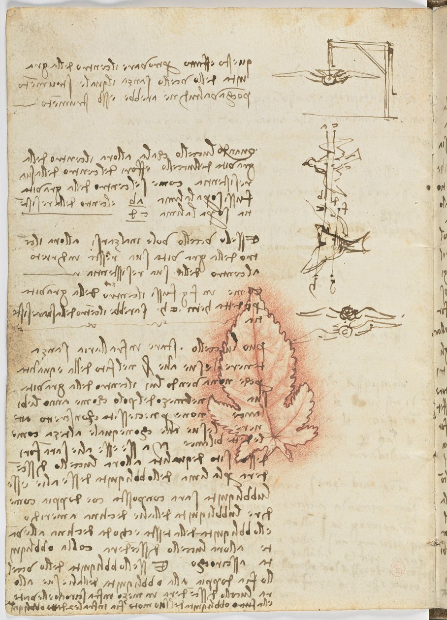 Fuglers flykode, c. 1505-06, papirmanuskript, cc. 18, ark 15 verso av Leonardo da Vinci
