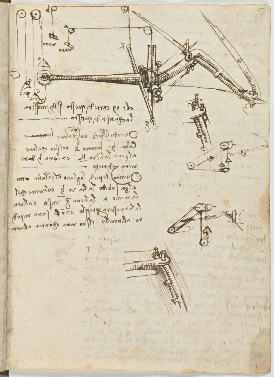 Fuglers flykode, c. 1505-06, papirmanuskript, cc. 18, ark 17 recto av Leonardo da Vinci