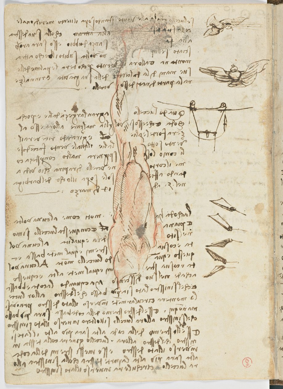 Fuglers flykode, c. 1505-06, papirmanuskript, cc. 18, ark 17 verso av Leonardo da Vinci