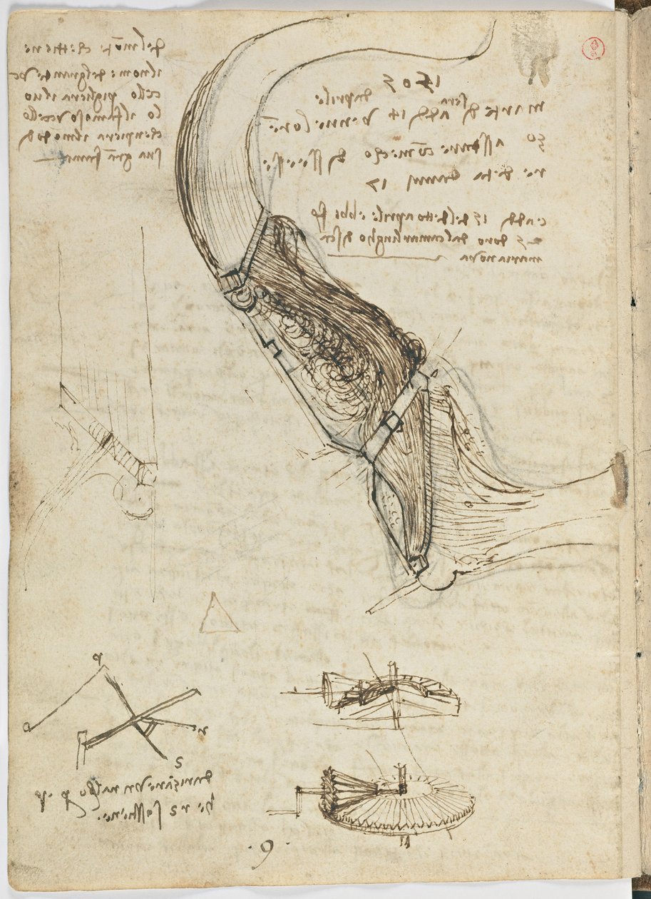 Fuglers flykode, c. 1505-06, papirmanuskript, cc. 18, ark 18 verso av Leonardo da Vinci
