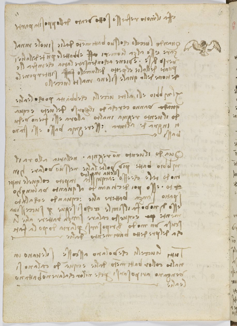 Fuglers flykode, c. 1505-06, papirmanuskript, cc. 18, ark 5 verso av Leonardo da Vinci