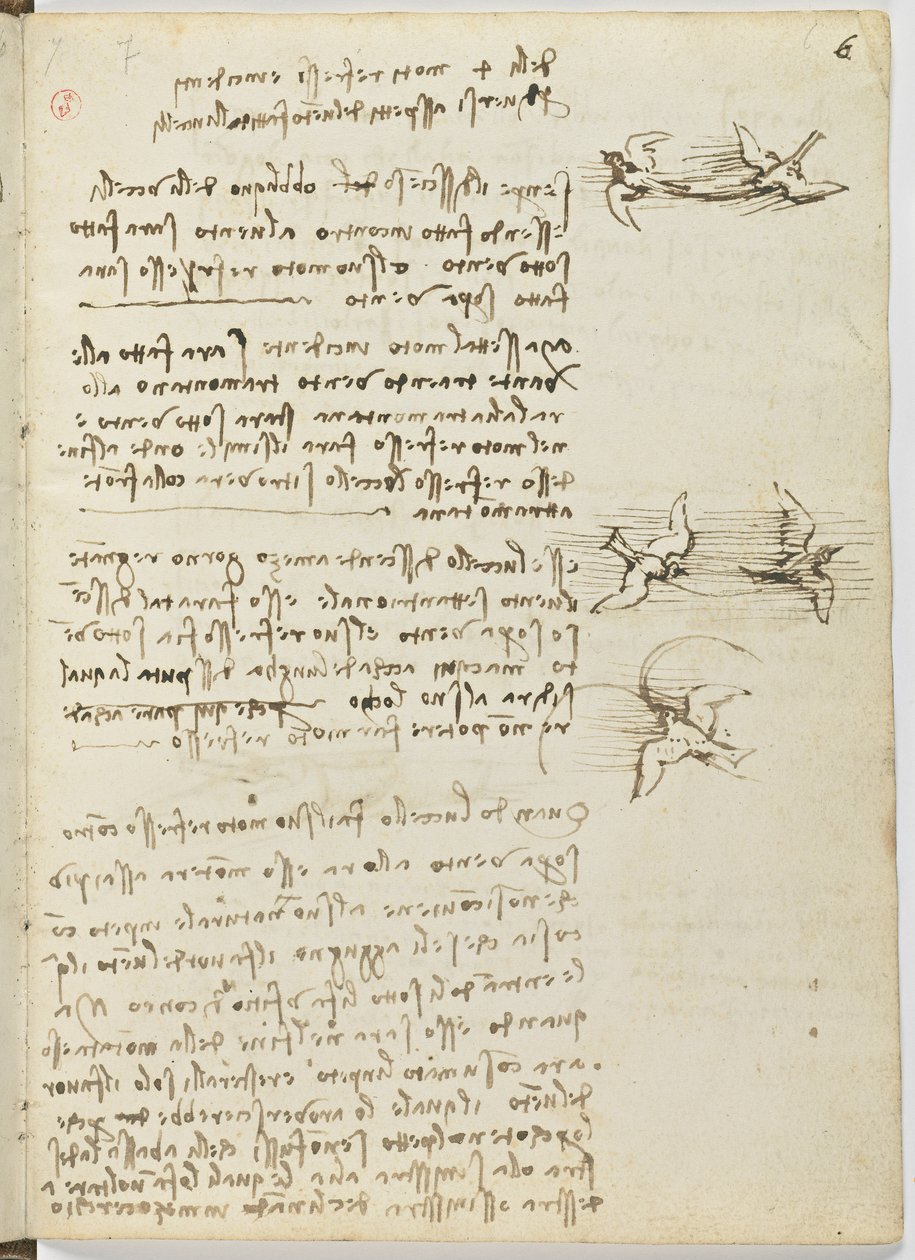 Fuglers flykode, c. 1505-06, papirmanuskript, cc. 18, ark 6 recto av Leonardo da Vinci