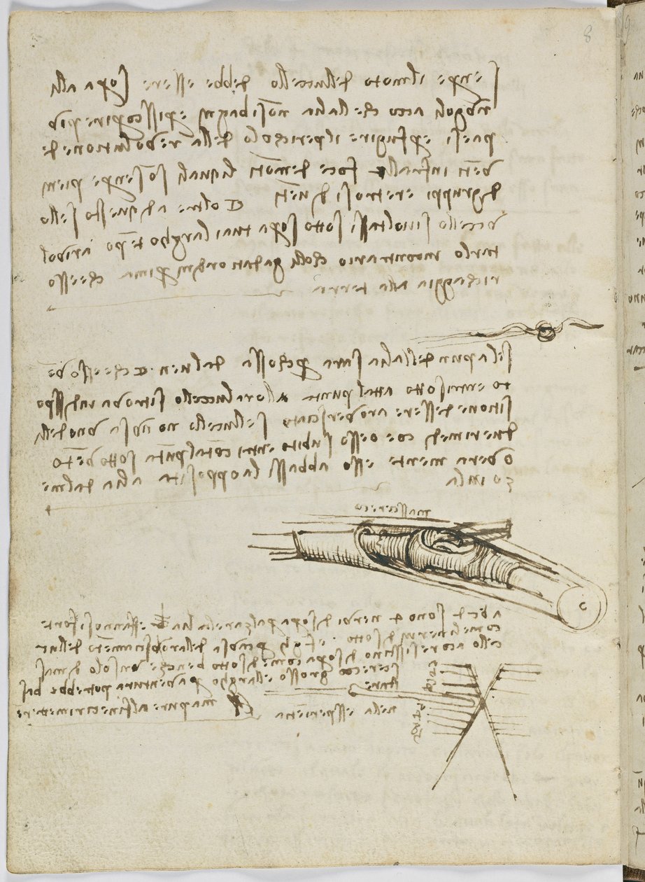 Fuglers flykode, c. 1505-06, papirmanuskript, cc. 18, ark 6 verso av Leonardo da Vinci