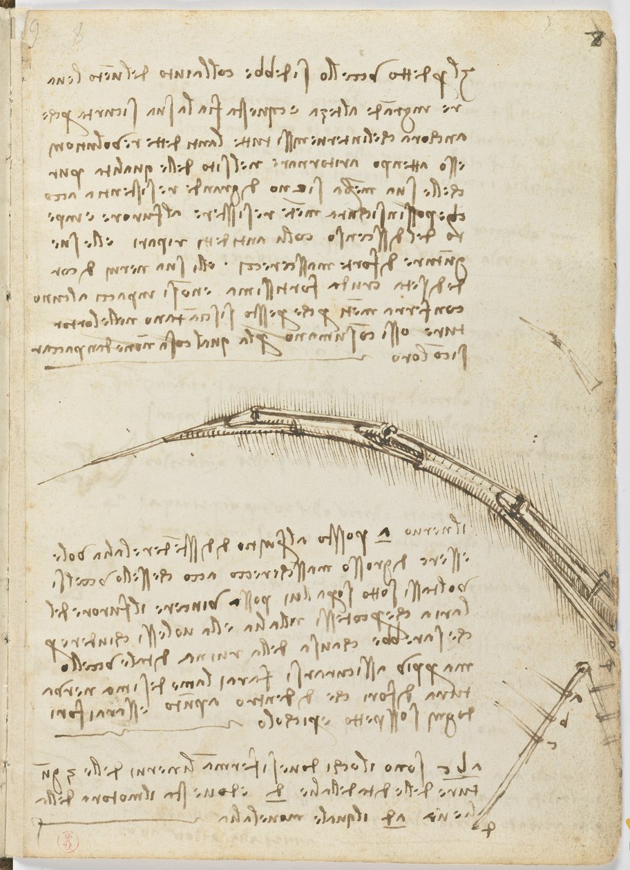 Fuglers flykode, c. 1505-06, papirmanuskript, cc. 18, ark 7 recto av Leonardo da Vinci
