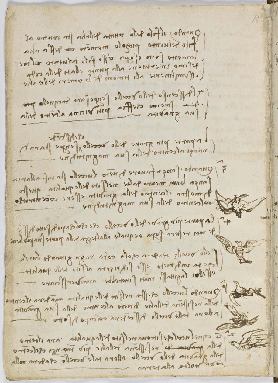 Fuglers flykode, c. 1505-06, papirmanuskript, cc. 18, ark 7 verso av Leonardo da Vinci
