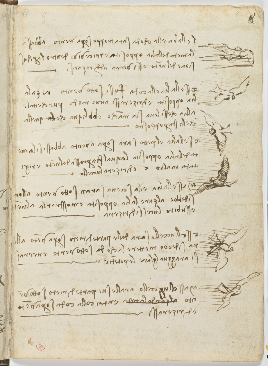 Fuglers flykode, c. 1505-06, papirmanuskript, cc. 18, ark 8 recto av Leonardo da Vinci