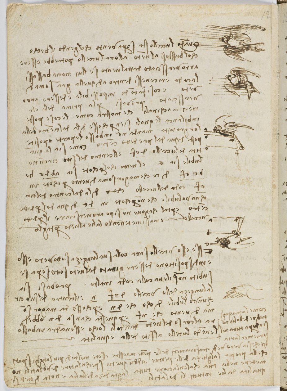 Fuglers flykode, c. 1505-06, papirmanuskript, cc. 18, ark 8 verso av Leonardo da Vinci