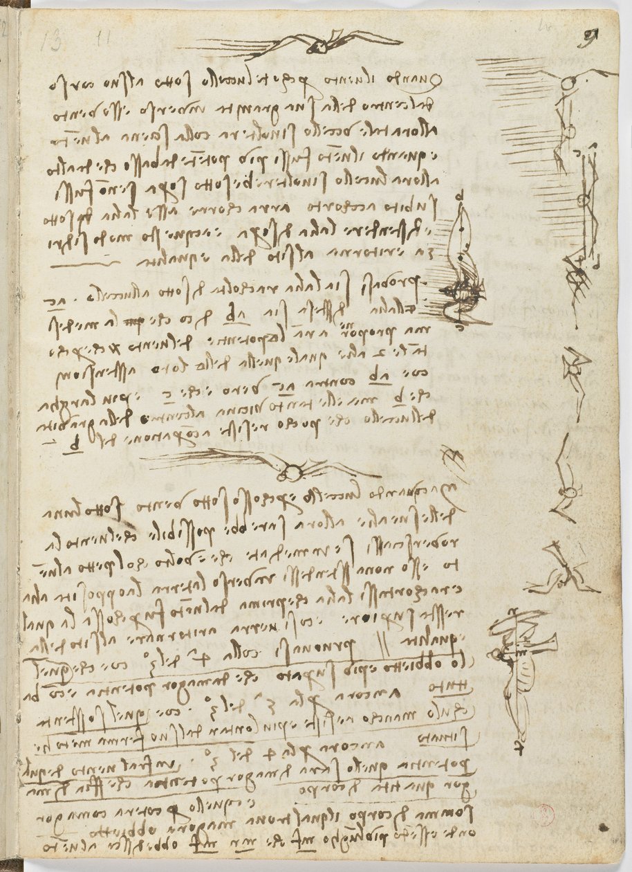 Fuglers flykode, c. 1505-06, papirmanuskript, cc. 18, ark 9 recto av Leonardo da Vinci