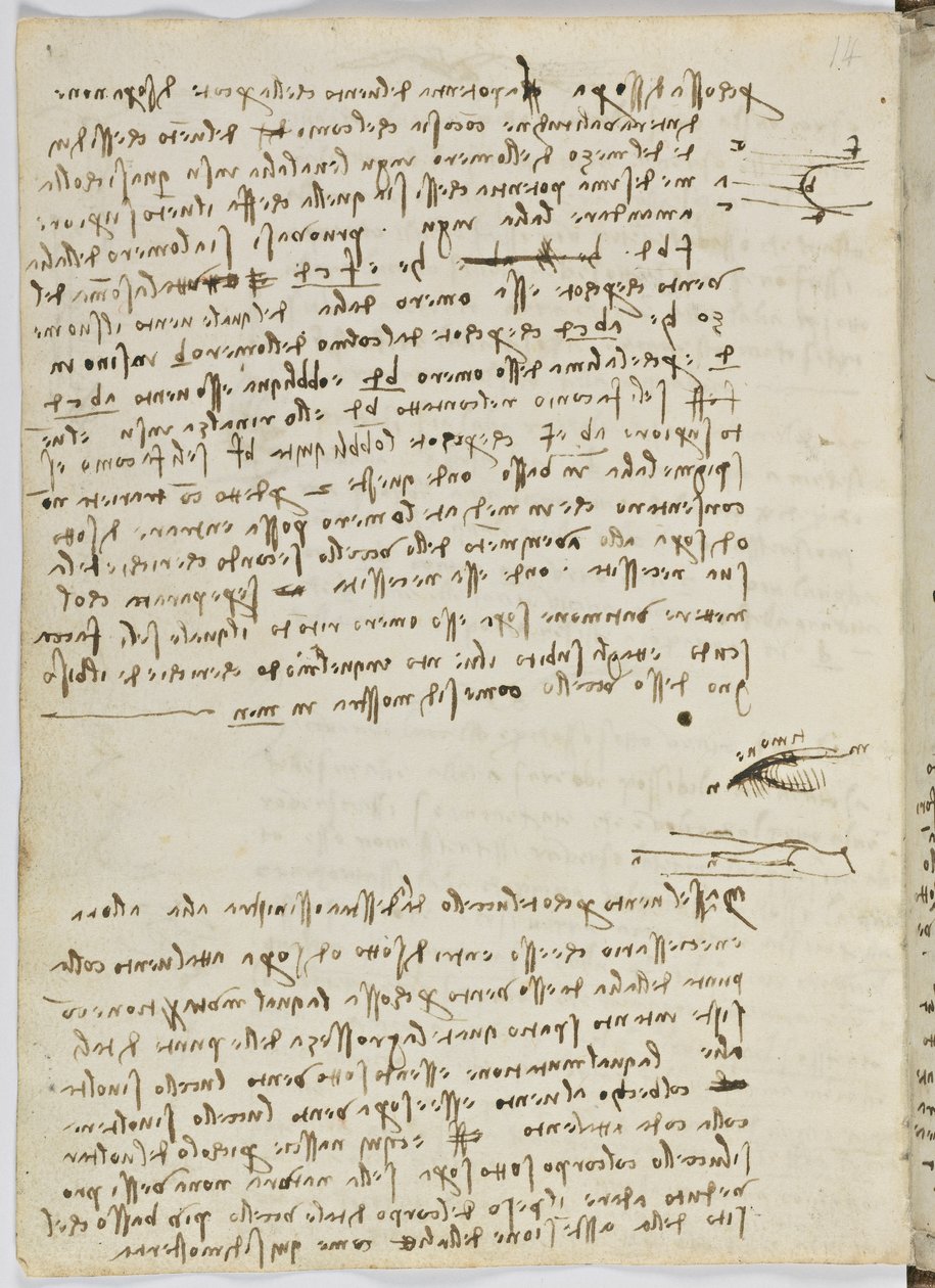 Fuglers flykode, c. 1505-06, papirmanuskript, cc. 18, ark 9 verso av Leonardo da Vinci