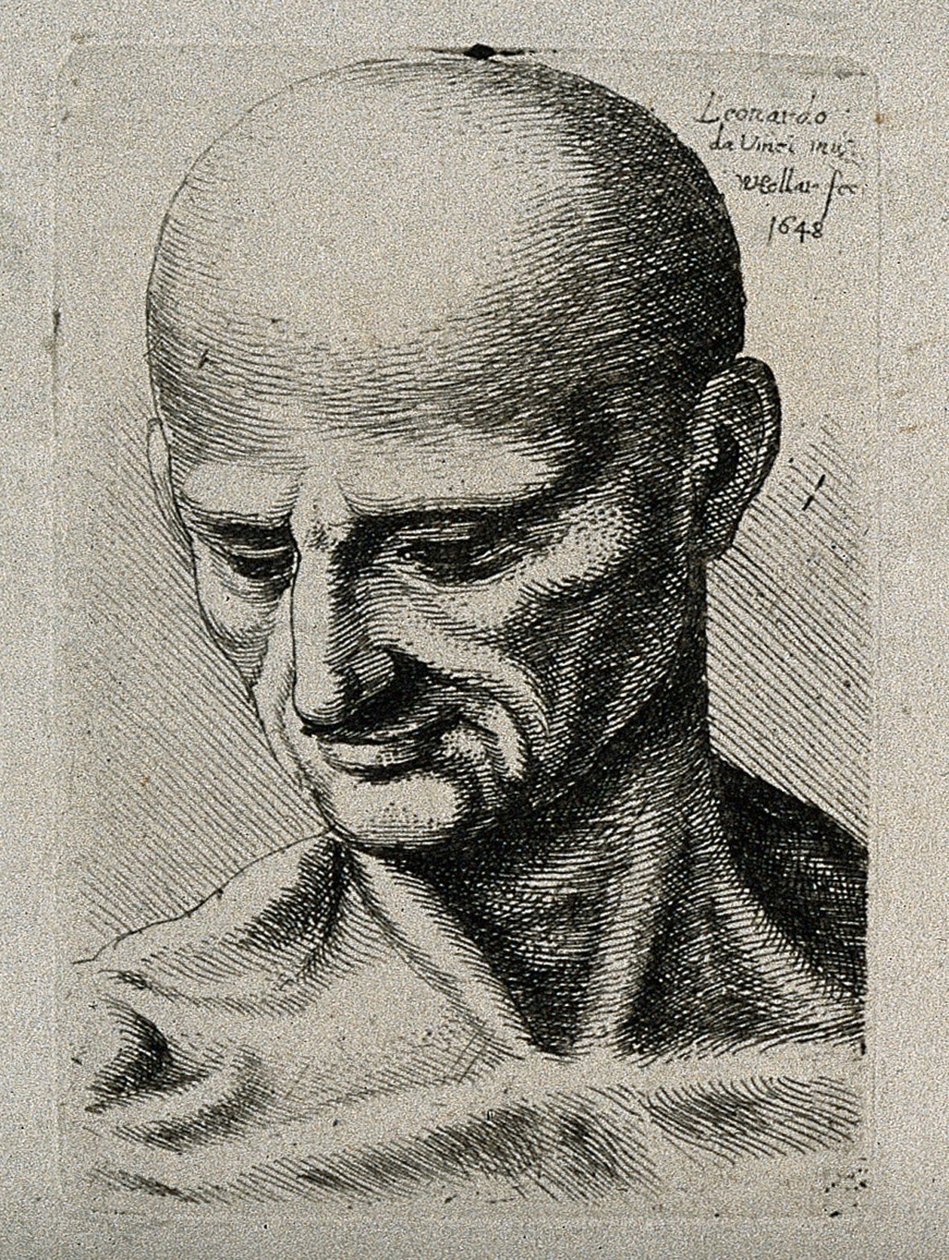 Byste av en mager mann som ser ned til nedre høyre av Leonardo da Vinci