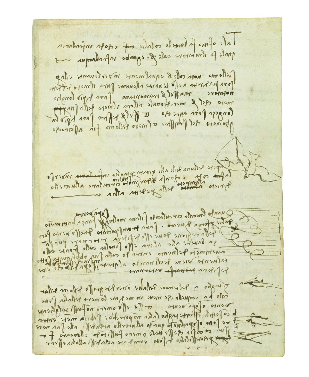 Codex on the flight of birds, Folio 10 recto av Leonardo da Vinci