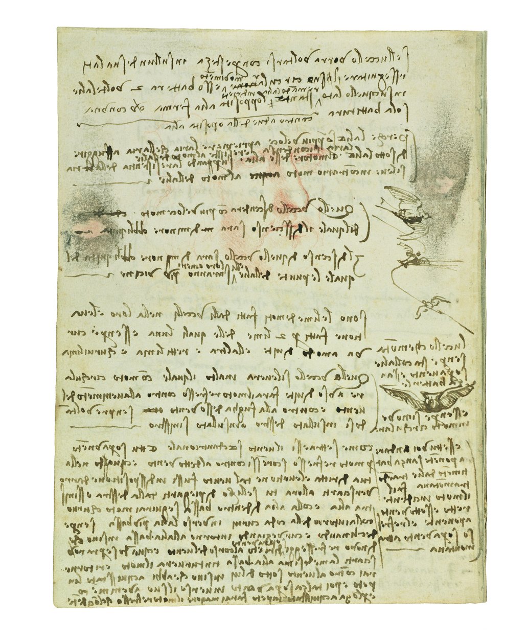 Codex on the flight of birds, Folio 10 verso av Leonardo da Vinci