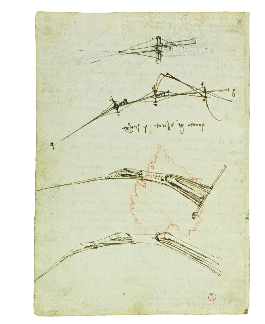 Codex on the flight of birds, Folio 11 verso av Leonardo da Vinci