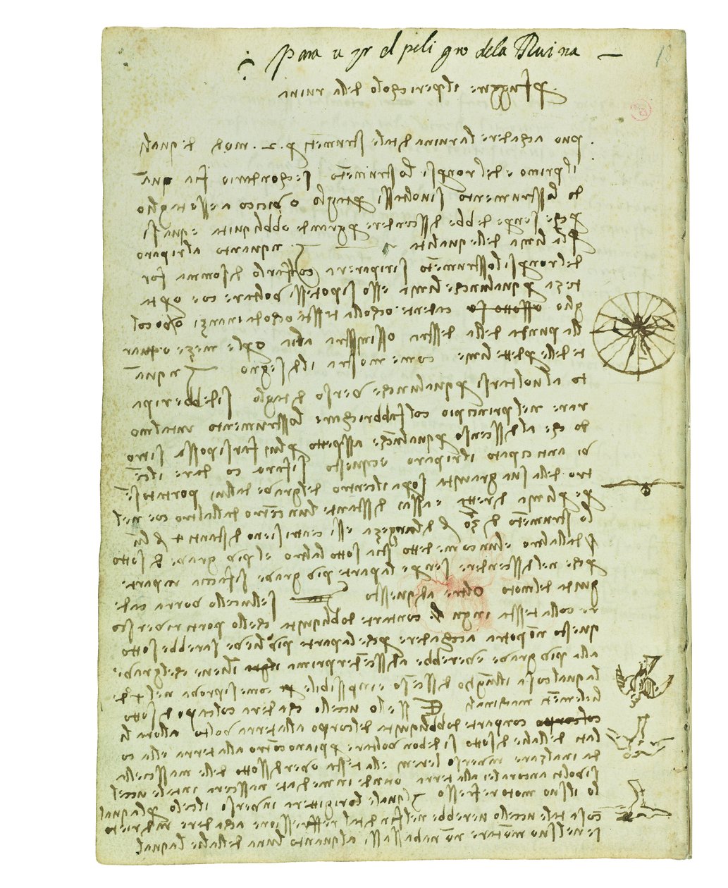 Codex on the flight of birds, Folio 12 verso av Leonardo da Vinci