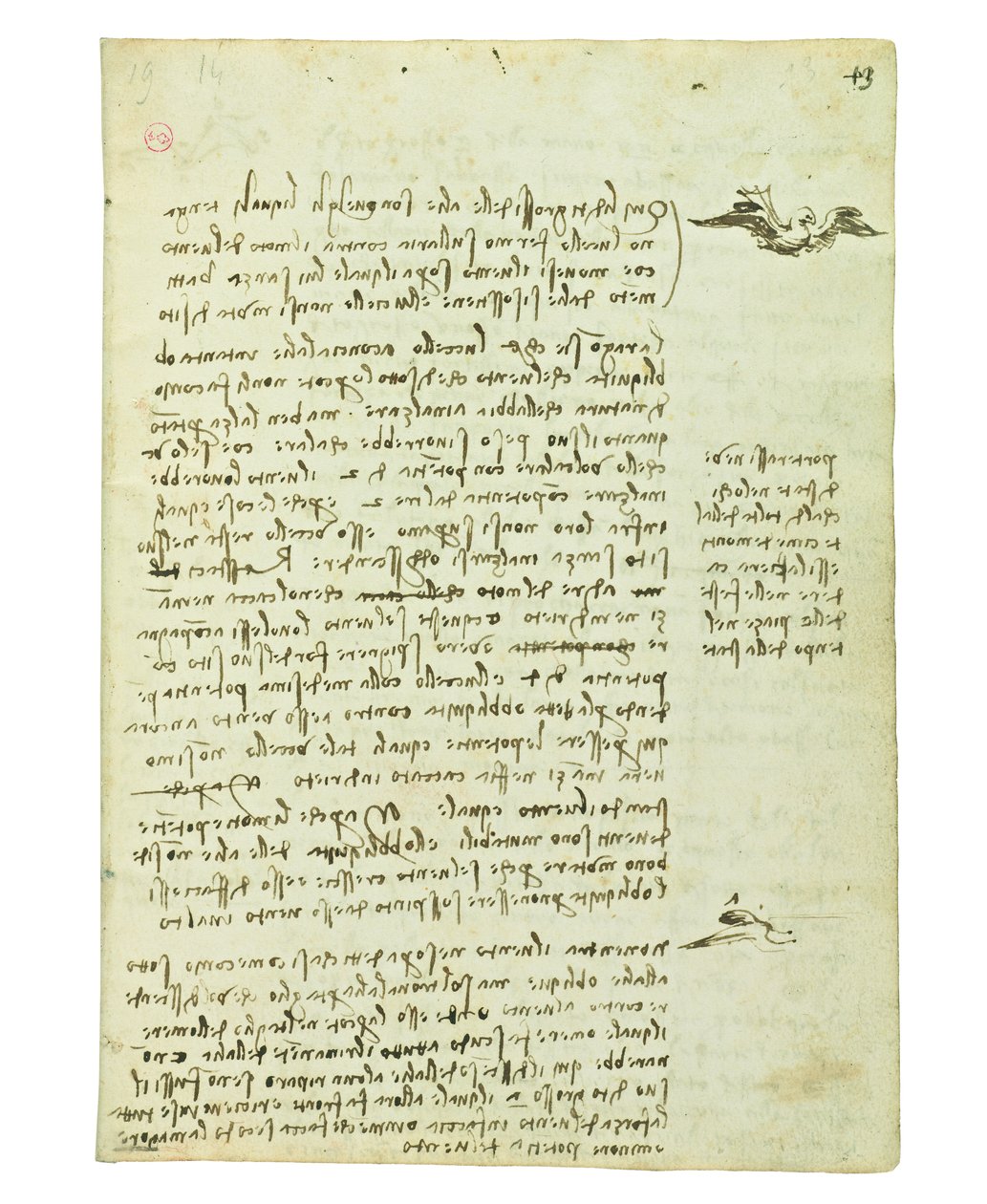 Codex on the flight of birds, Folio 13 recto av Leonardo da Vinci
