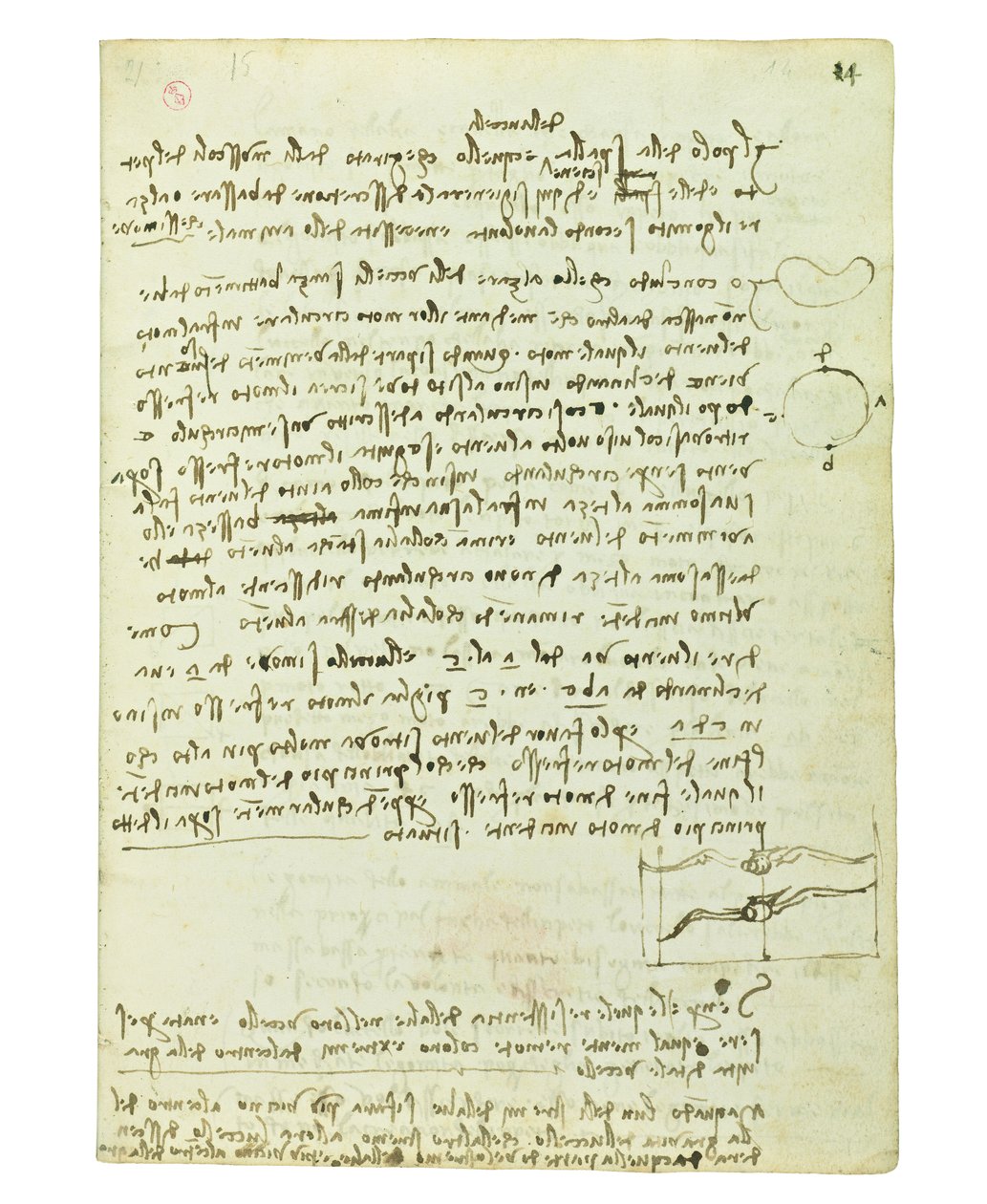 Codex on the flight of birds, Folio 14 recto av Leonardo da Vinci