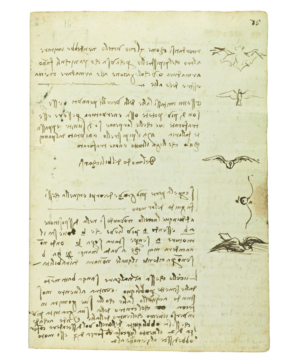 Codex on the flight of birds, Folio 15 recto av Leonardo da Vinci