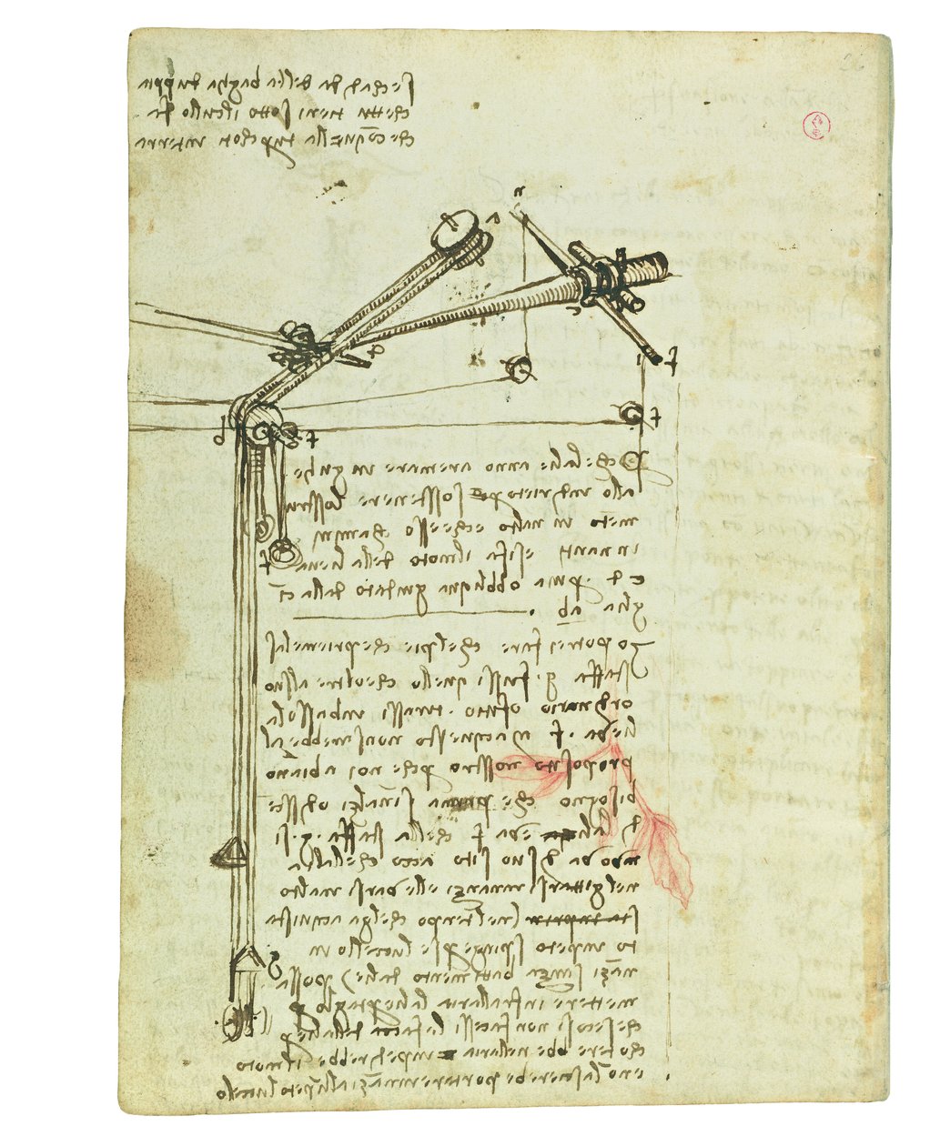 Codex on the flight of birds, Folio 16 verso av Leonardo da Vinci