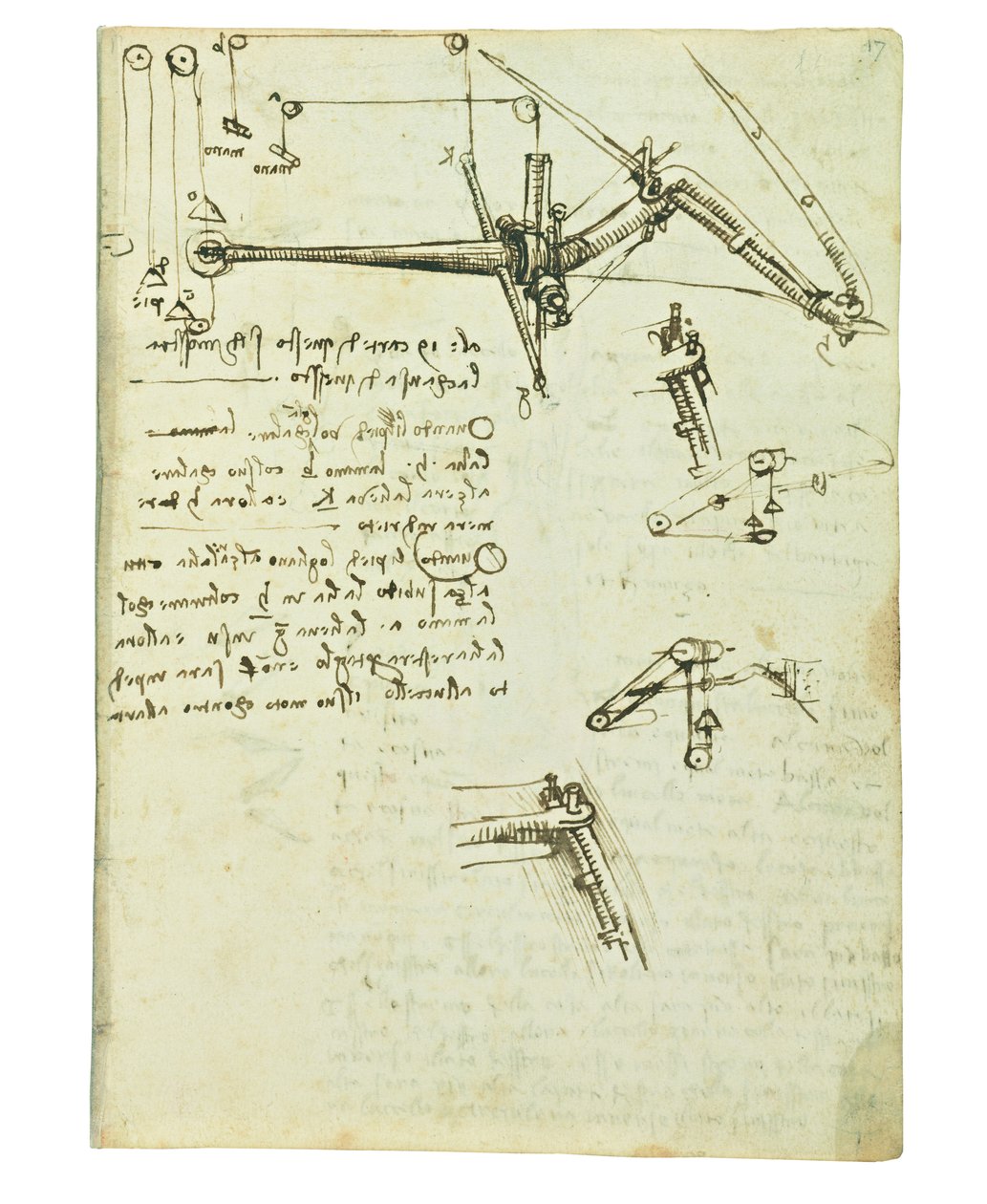 Codex on the flight of birds, Folio 17 recto av Leonardo da Vinci