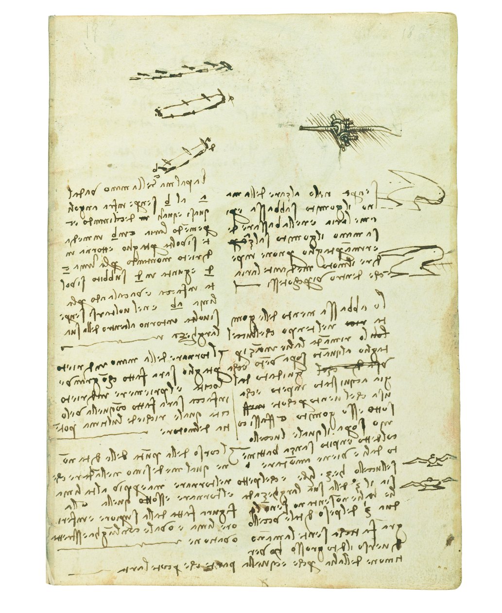 Codex on the flight of birds, Folio 18 recto av Leonardo da Vinci