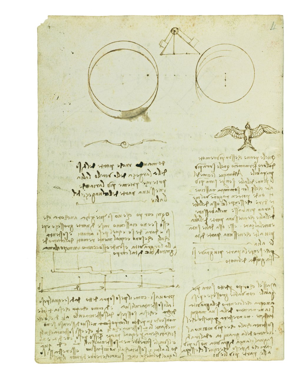 Codex on the flight of birds, Folio 4 verso av Leonardo da Vinci